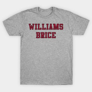 Williams-Brice Stadium T-Shirt